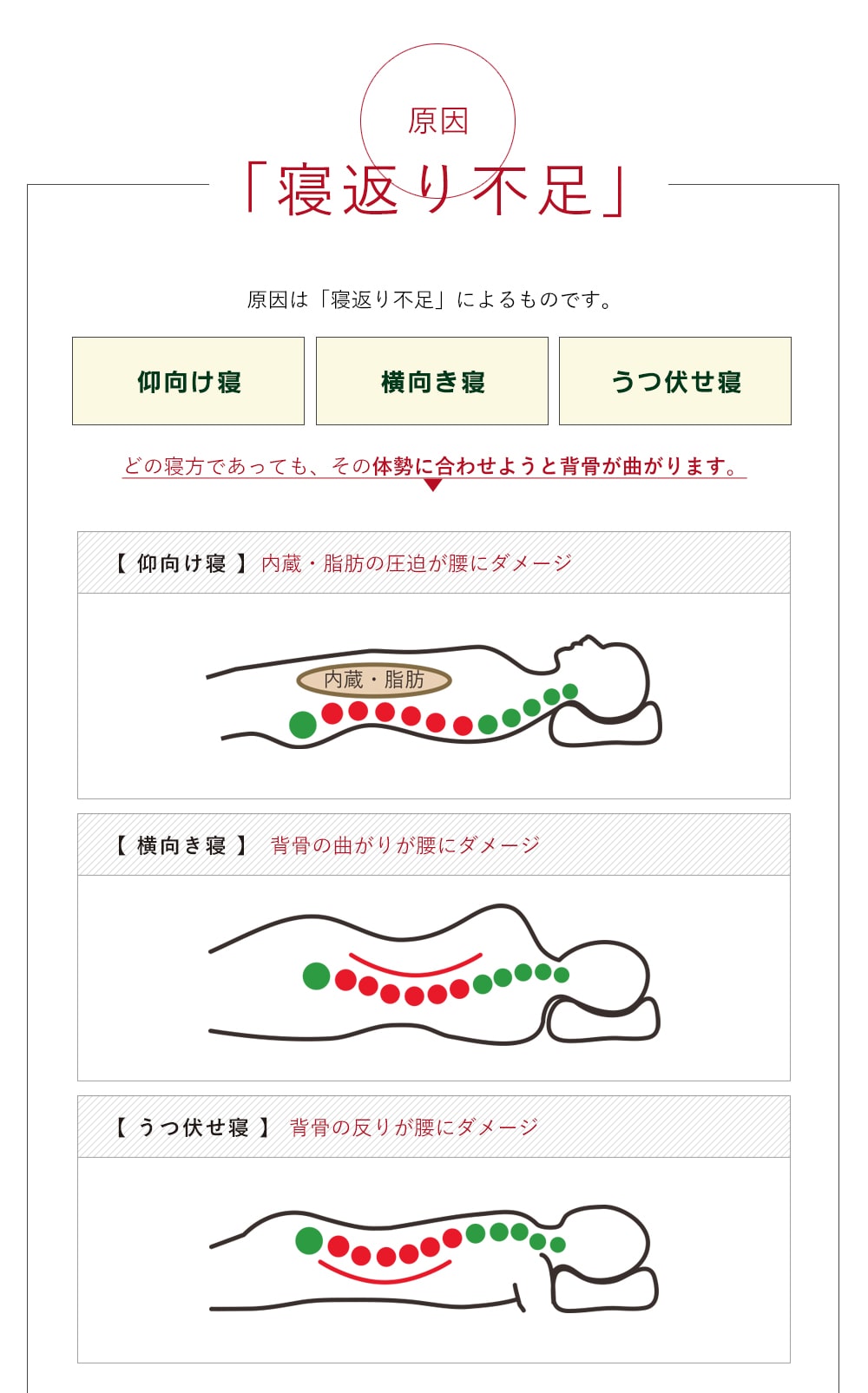 原因は「寝返り不足」によるものです。仰向け、横向き、うつぶせ寝など、どの寝方であっても、その体勢に合わせようと背骨が曲がります。
