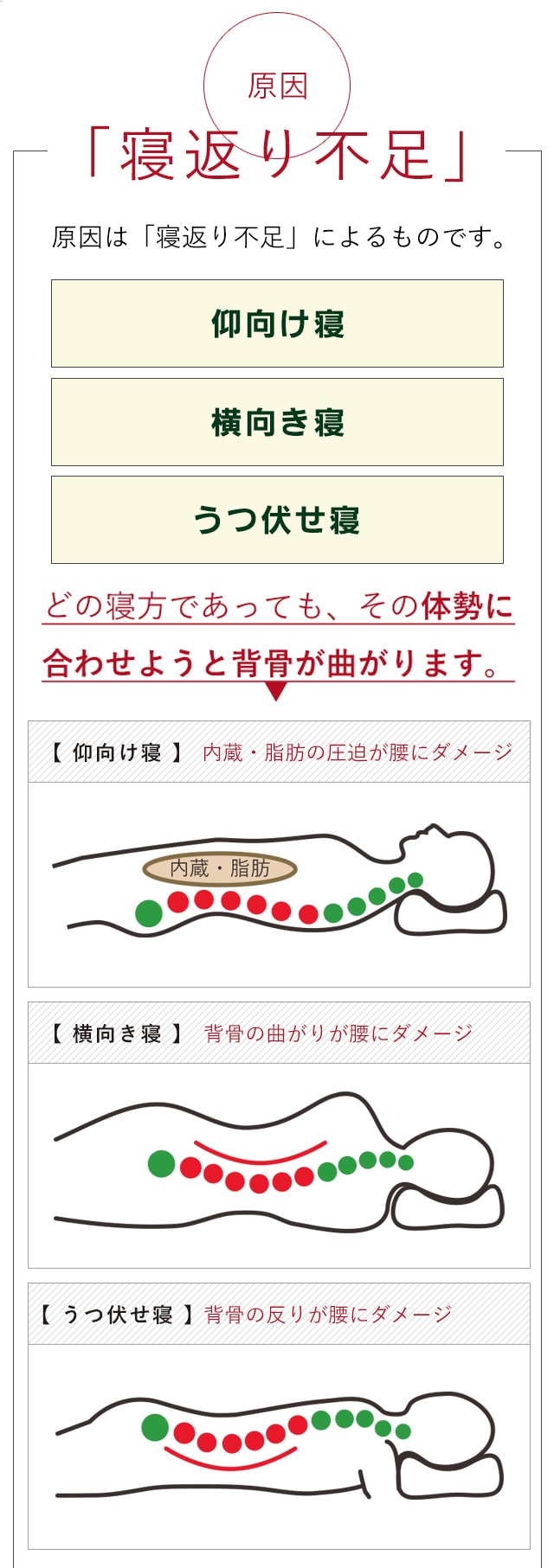 原因は「寝返り不足」によるものです。仰向け、横向き、うつぶせ寝など、どの寝方であっても、その体勢に合わせようと背骨が曲がります。
